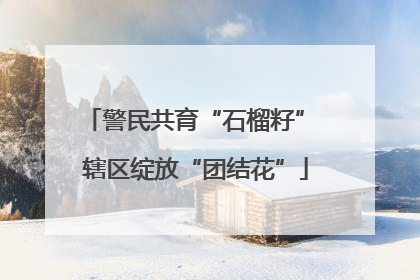 警民共育“石榴籽” 辖区绽放“团结花”