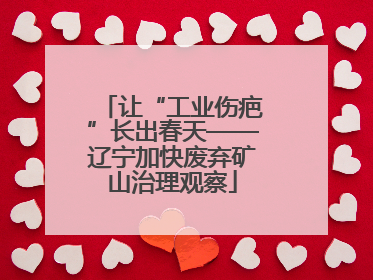 让“工业伤疤”长出春天——辽宁加快废弃矿山治理观察