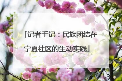 记者手记：民族团结在宁夏社区的生动实践