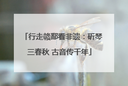 行走赣鄱看非遗：斫琴三春秋 古音传千年