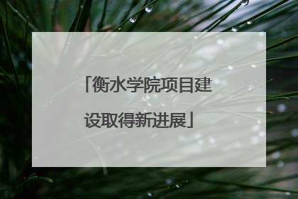 衡水学院项目建设取得新进展