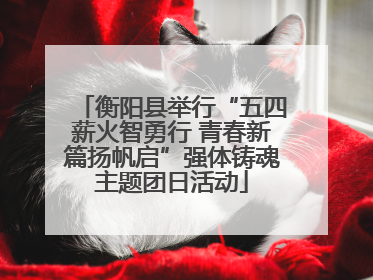 衡阳县举行“五四薪火智勇行 青春新篇扬帆启”强体铸魂主题团日活动