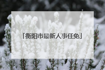 衡阳市最新人事任免
