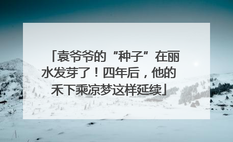 袁爷爷的“种子”在丽水发芽了！四年后，他的禾下乘凉梦这样延续