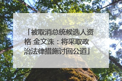 被取消总统候选人资格 金文洙：将采取政治法律措施讨回公道