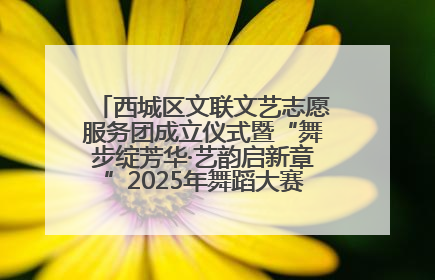西城区文联文艺志愿服务团成立仪式暨“舞步绽芳华·艺韵启新章”2025年舞蹈大赛展演圆满举办