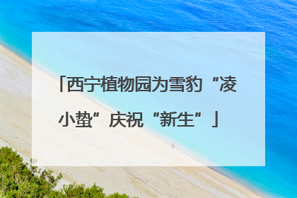 西宁植物园为雪豹“凌小蛰”庆祝“新生”