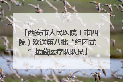 西安市人民医院（市四院）欢送第八批“组团式”援藏医疗队队员