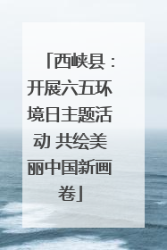 西峡县：开展六五环境日主题活动 共绘美丽中国新画卷