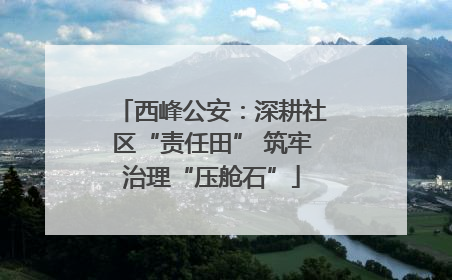 西峰公安：深耕社区“责任田” 筑牢治理“压舱石”