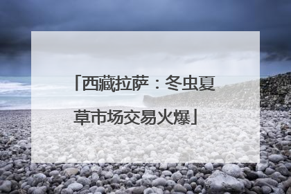 西藏拉萨：冬虫夏草市场交易火爆
