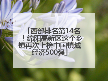 西部排名第14名！绵阳高新区这个乡镇再次上榜中国镇域经济500强