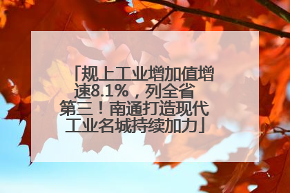 规上工业增加值增速8.1%，列全省第三！南通打造现代工业名城持续加力