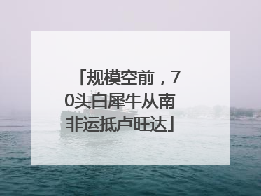 规模空前，70头白犀牛从南非运抵卢旺达