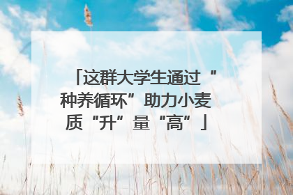 这群大学生通过“种养循环”助力小麦质“升”量“高”