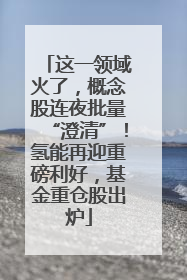 这一领域火了，概念股连夜批量“澄清”！氢能再迎重磅利好，基金重仓股出炉