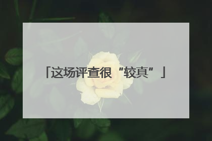 这场评查很“较真”