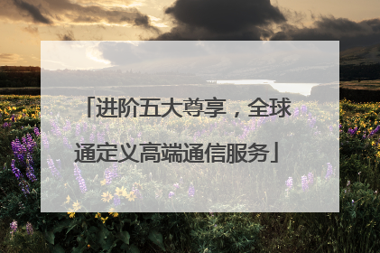 进阶五大尊享，全球通定义高端通信服务