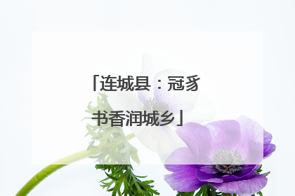连城县：冠豸书香润城乡