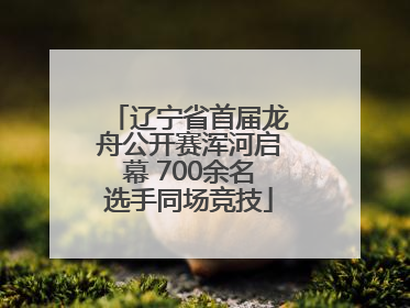 辽宁省首届龙舟公开赛浑河启幕 700余名选手同场竞技