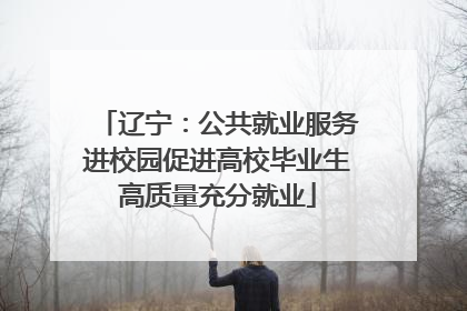 辽宁：公共就业服务进校园促进高校毕业生高质量充分就业