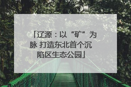 辽源：以“矿”为脉 打造东北首个沉陷区生态公园