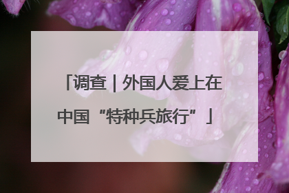 调查｜外国人爱上在中国“特种兵旅行”