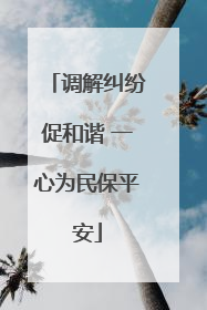 调解纠纷促和谐 一心为民保平安