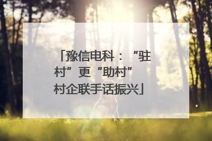 豫信电科：“驻村”更“助村” 村企联手话振兴