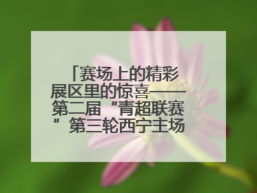 赛场上的精彩 展区里的惊喜——第二届“青超联赛”第三轮西宁主场比赛见闻