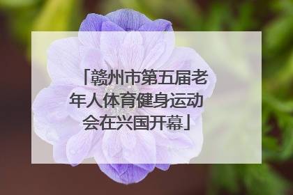 赣州市第五届老年人体育健身运动会在兴国开幕