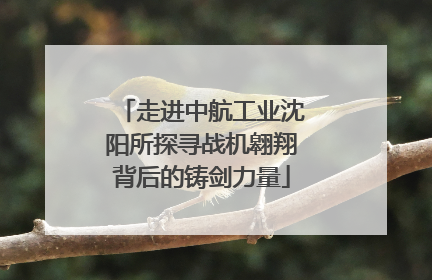 走进中航工业沈阳所探寻战机翱翔背后的铸剑力量