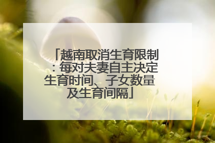 越南取消生育限制：每对夫妻自主决定生育时间、子女数量及生育间隔