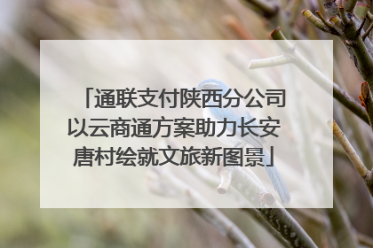 通联支付陕西分公司以云商通方案助力长安唐村绘就文旅新图景