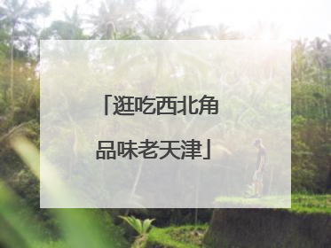 逛吃西北角 品味老天津