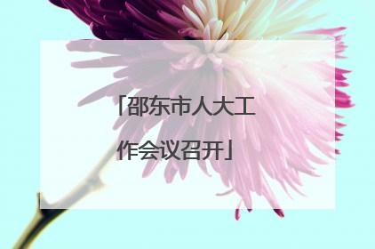 邵东市人大工作会议召开
