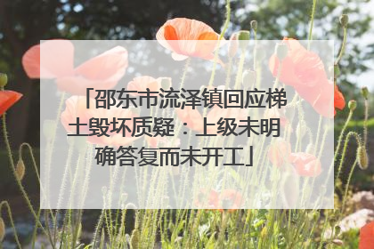 邵东市流泽镇回应梯土毁坏质疑：上级未明确答复而未开工