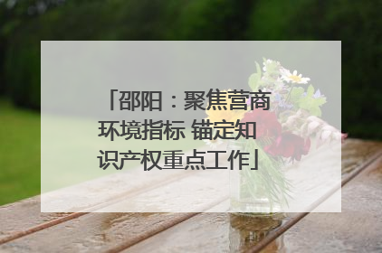 邵阳：聚焦营商环境指标 锚定知识产权重点工作