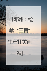 邓州：绘就“三夏”生产壮美画卷