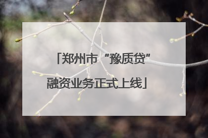 郑州市“豫质贷”融资业务正式上线