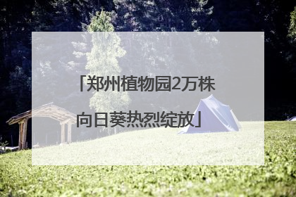 郑州植物园2万株向日葵热烈绽放