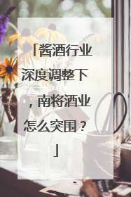 酱酒行业深度调整下，南将酒业怎么突围？