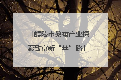 醴陵市桑蚕产业探索致富新“丝”路