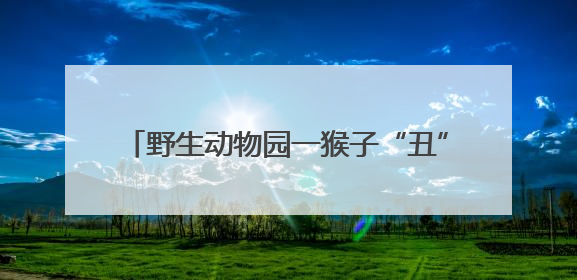 野生动物园一猴子“丑”出圈，当地保育员回应