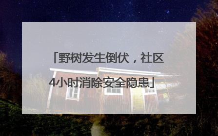 野树发生倒伏，社区4小时消除安全隐患