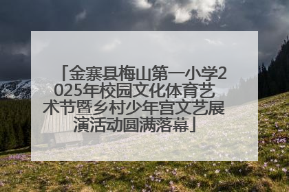 金寨县梅山第一小学2025年校园文化体育艺术节暨乡村少年宫文艺展演活动圆满落幕