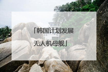韩国计划发展无人机母舰