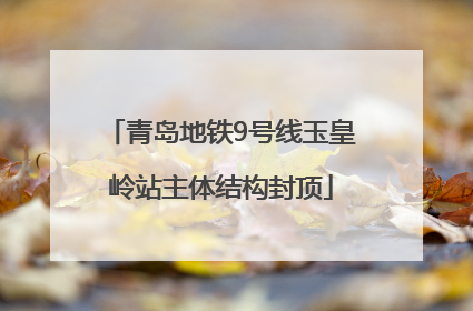 青岛地铁9号线玉皇岭站主体结构封顶