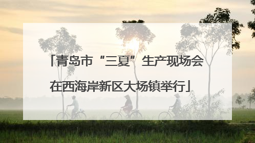 青岛市“三夏”生产现场会在西海岸新区大场镇举行
