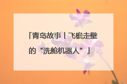 青岛故事丨飞檐走壁的“洗舱机器人”